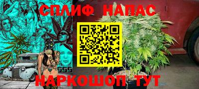 дурь Берёзовский