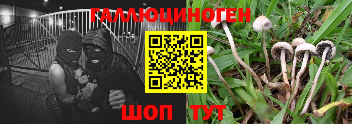Псилоцибиновые грибы Magic Shrooms Бугуруслан