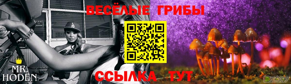 Галлюциногенные грибы ЛСД  хочу   Бугуруслан  Псилоцибиновые грибы ЛСД 